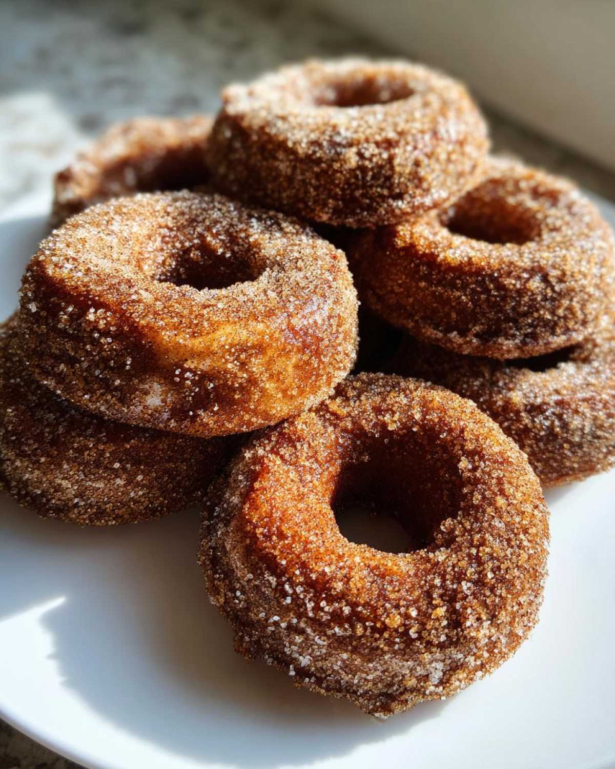 Apple Cider Donuts - detail 2