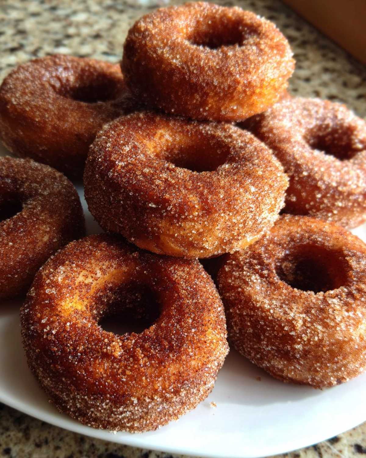 Apple Cider Donuts - detail 3