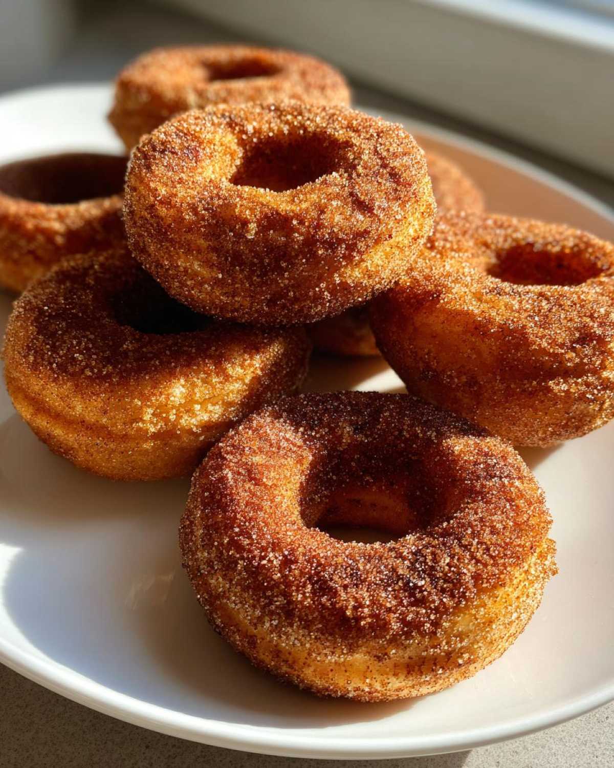 Apple Cider Donuts - detail 4