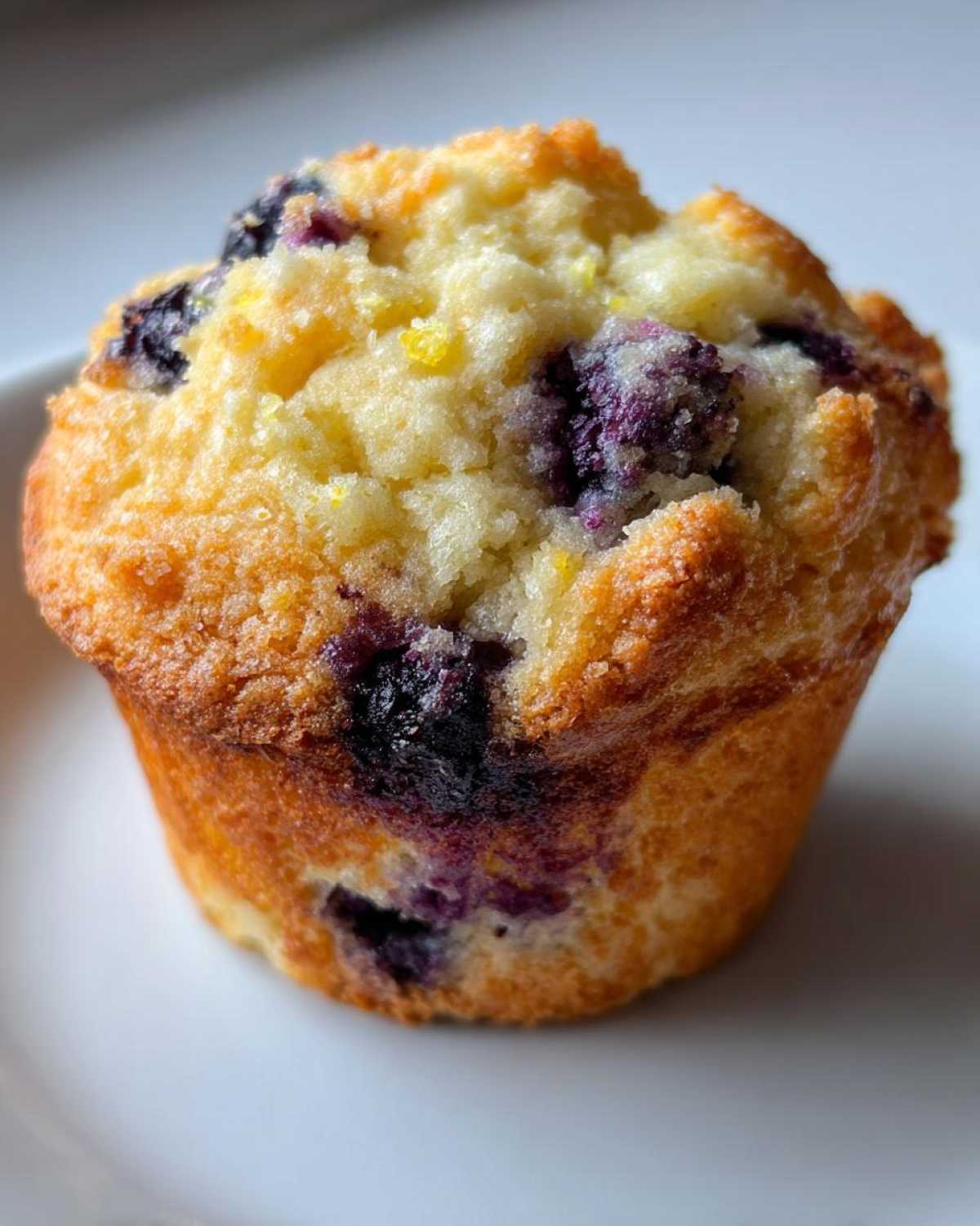 Blueberry Lemon Muffins - detail 2
