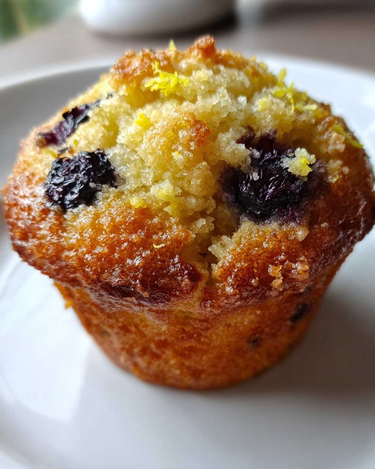 Blueberry Lemon Muffins - detail 3