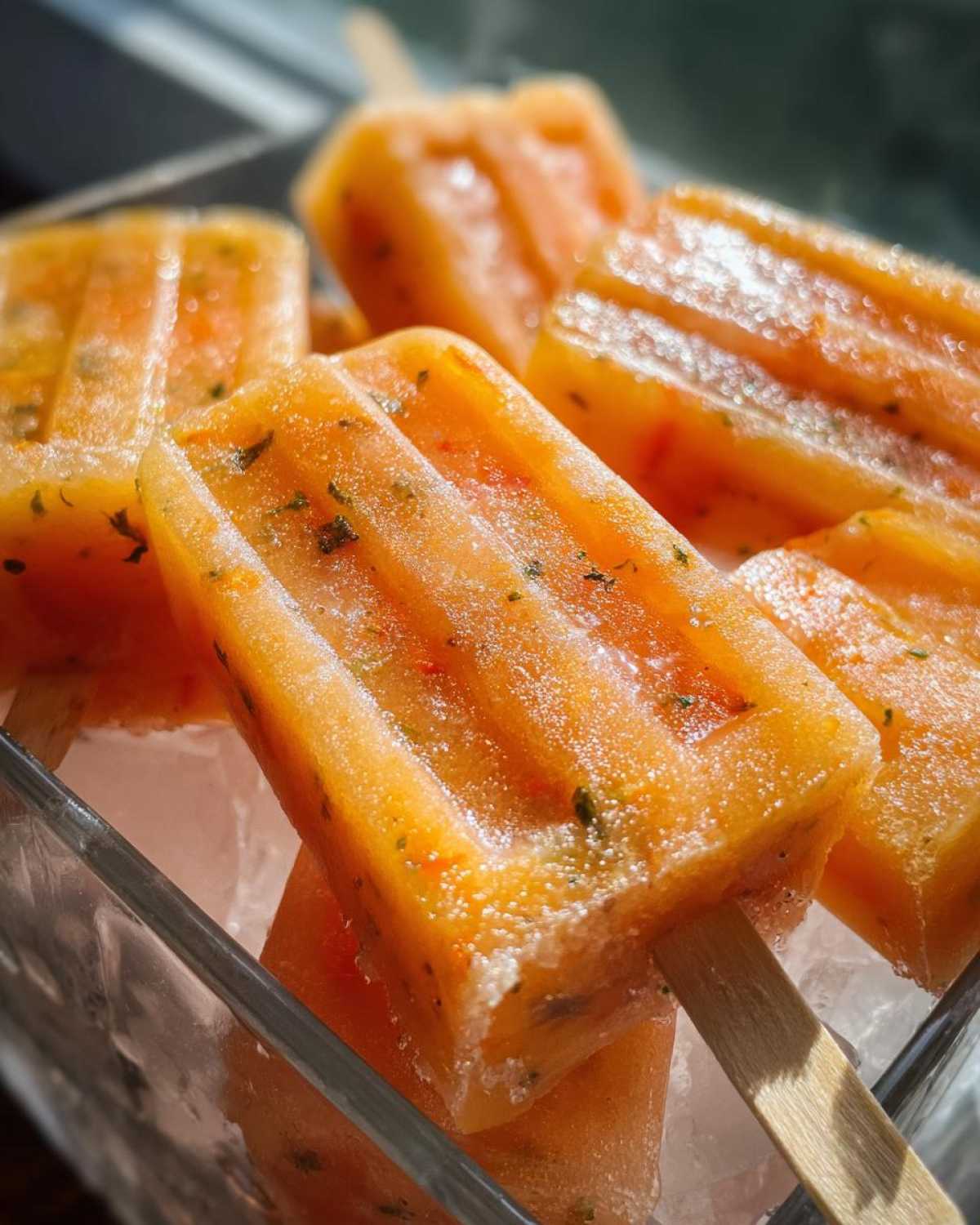 Chicken and Carrot Frozen Pup Pops - detail 3