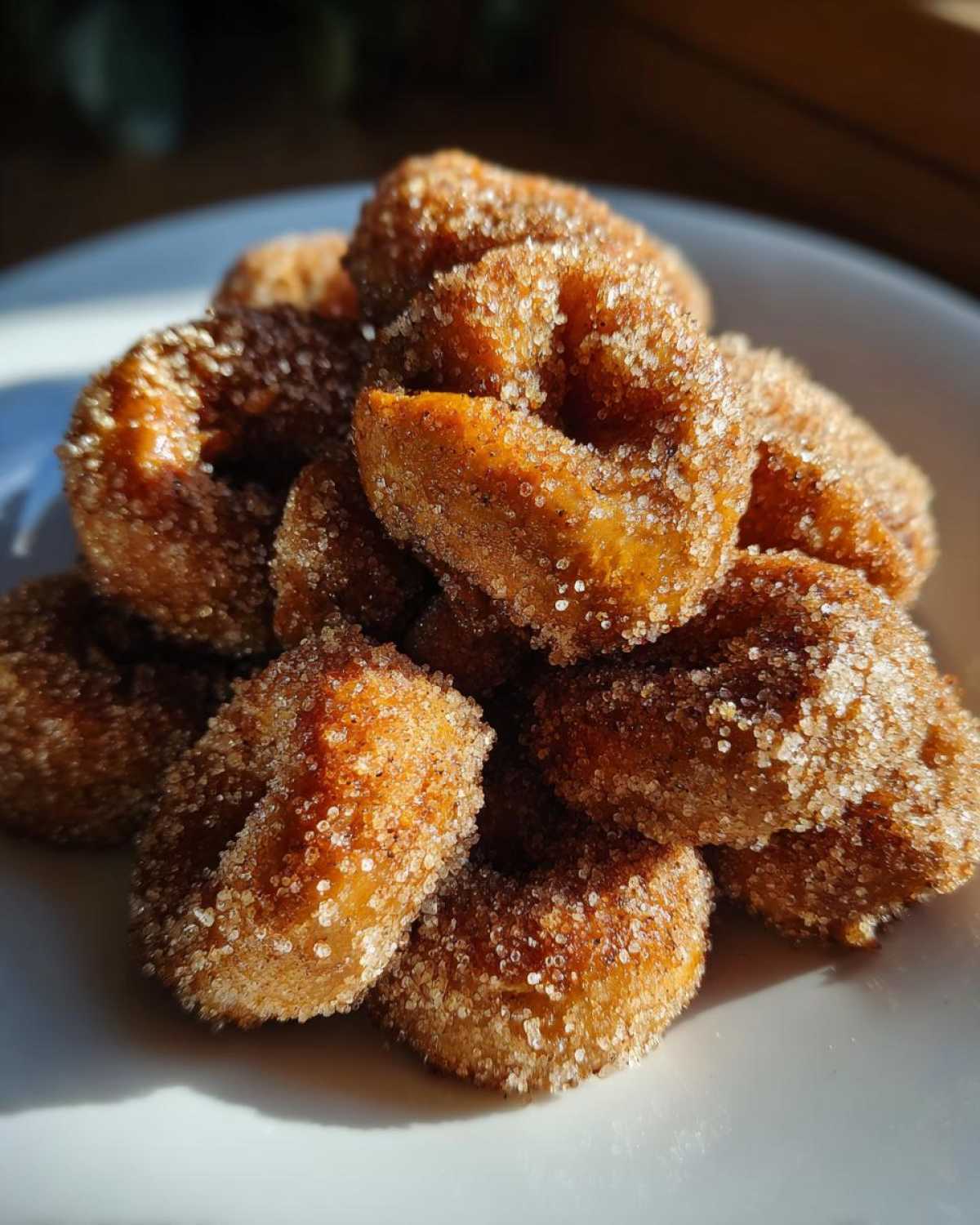 Cinnamon Sugar Pretzel Bites - detail 1
