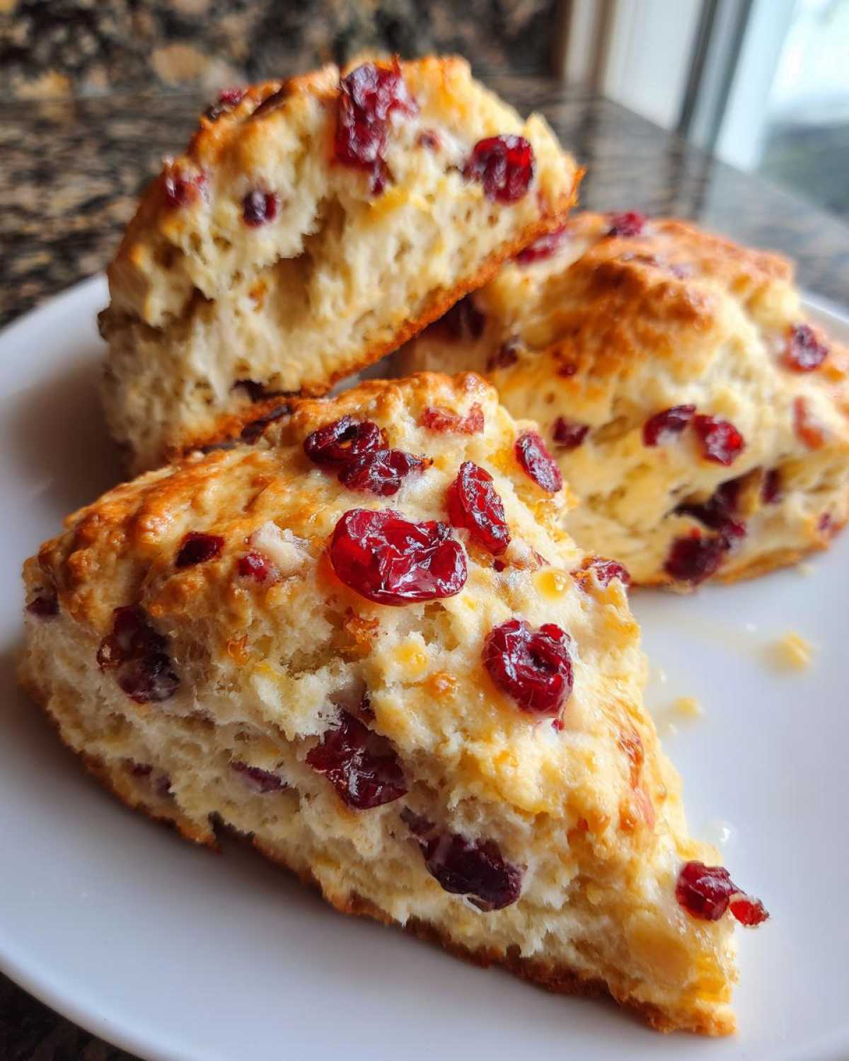 Cranberry Orange Scones - detail 1
