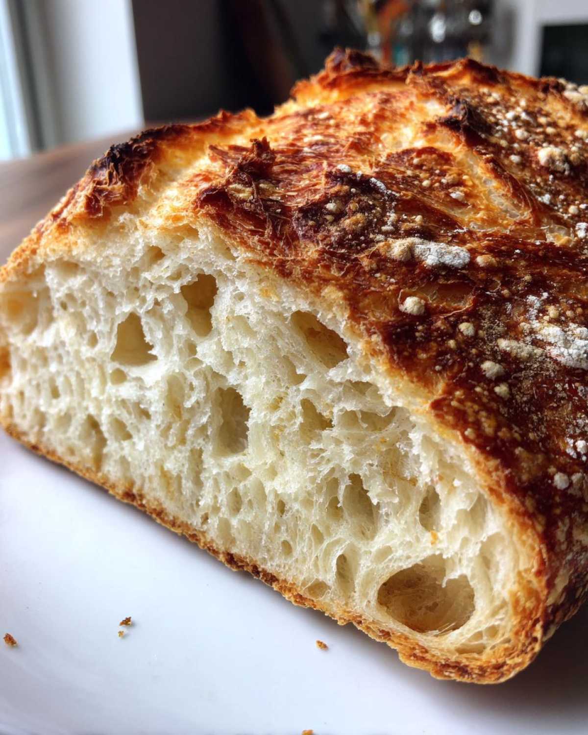 No-Knead Dutch Oven Bread (Bakery-Worthy Crust) - detail 1
