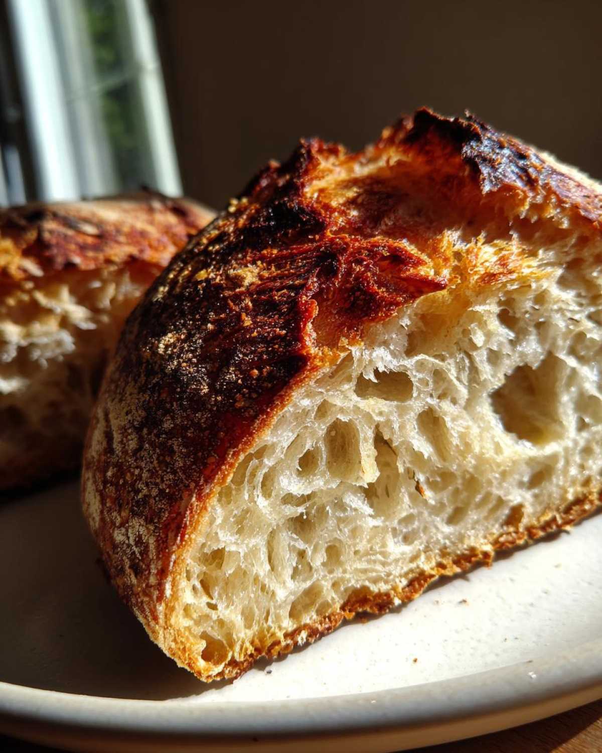 No-Knead Dutch Oven Bread (Bakery-Worthy Crust) - detail 4