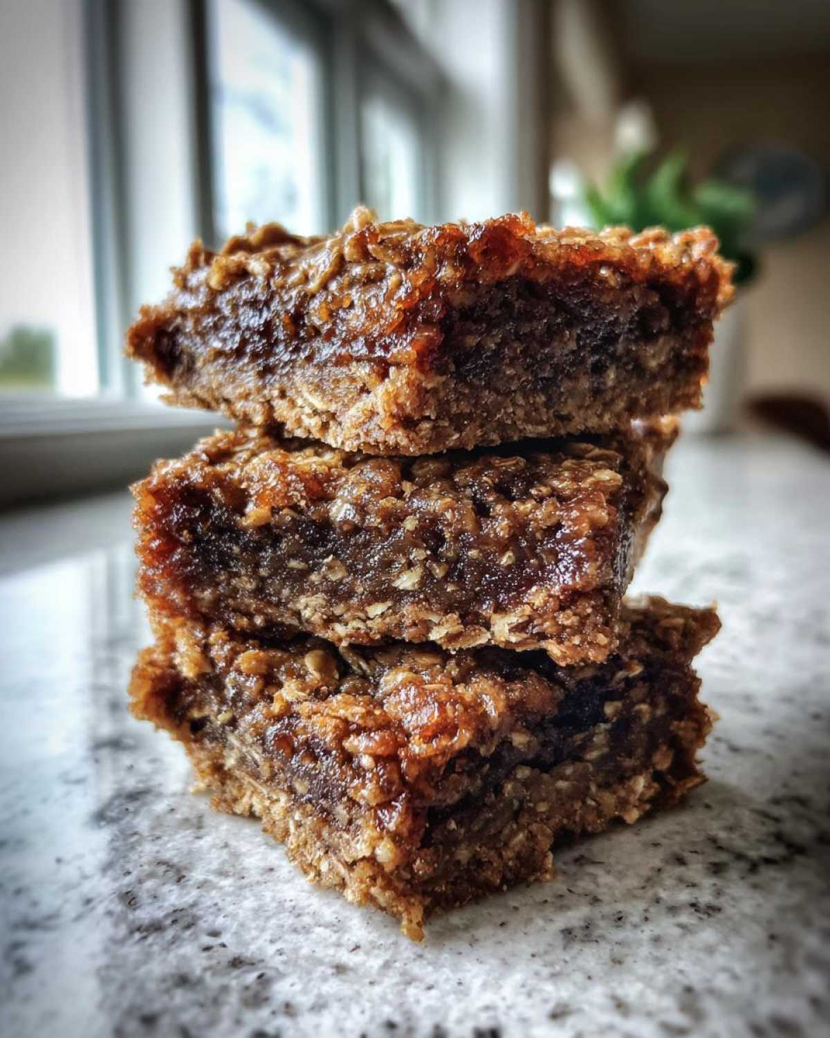 Warm Gingerbread Oat Bars (Winter Dessert Fix) - detail 2