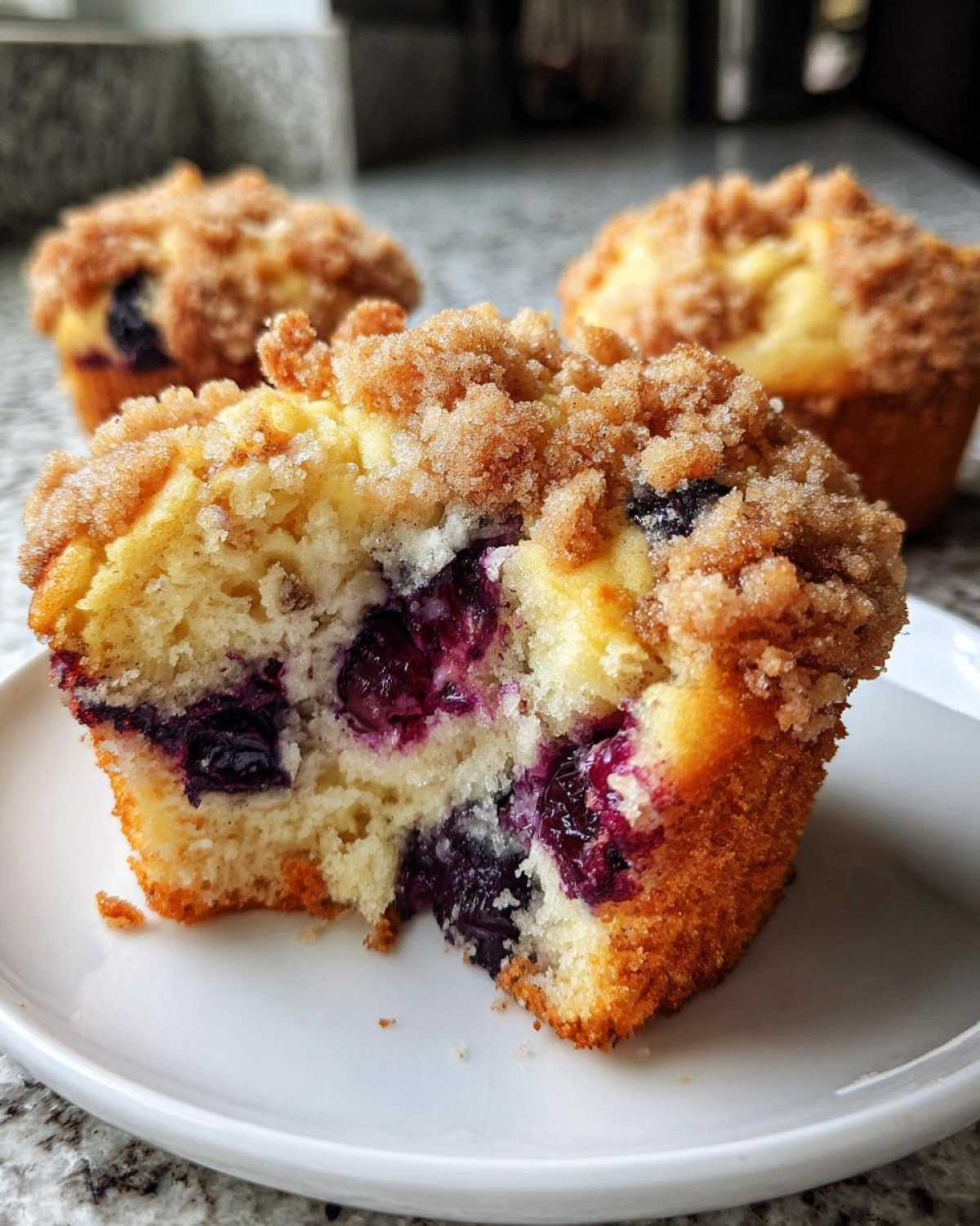 blueberry muffin - detail 1