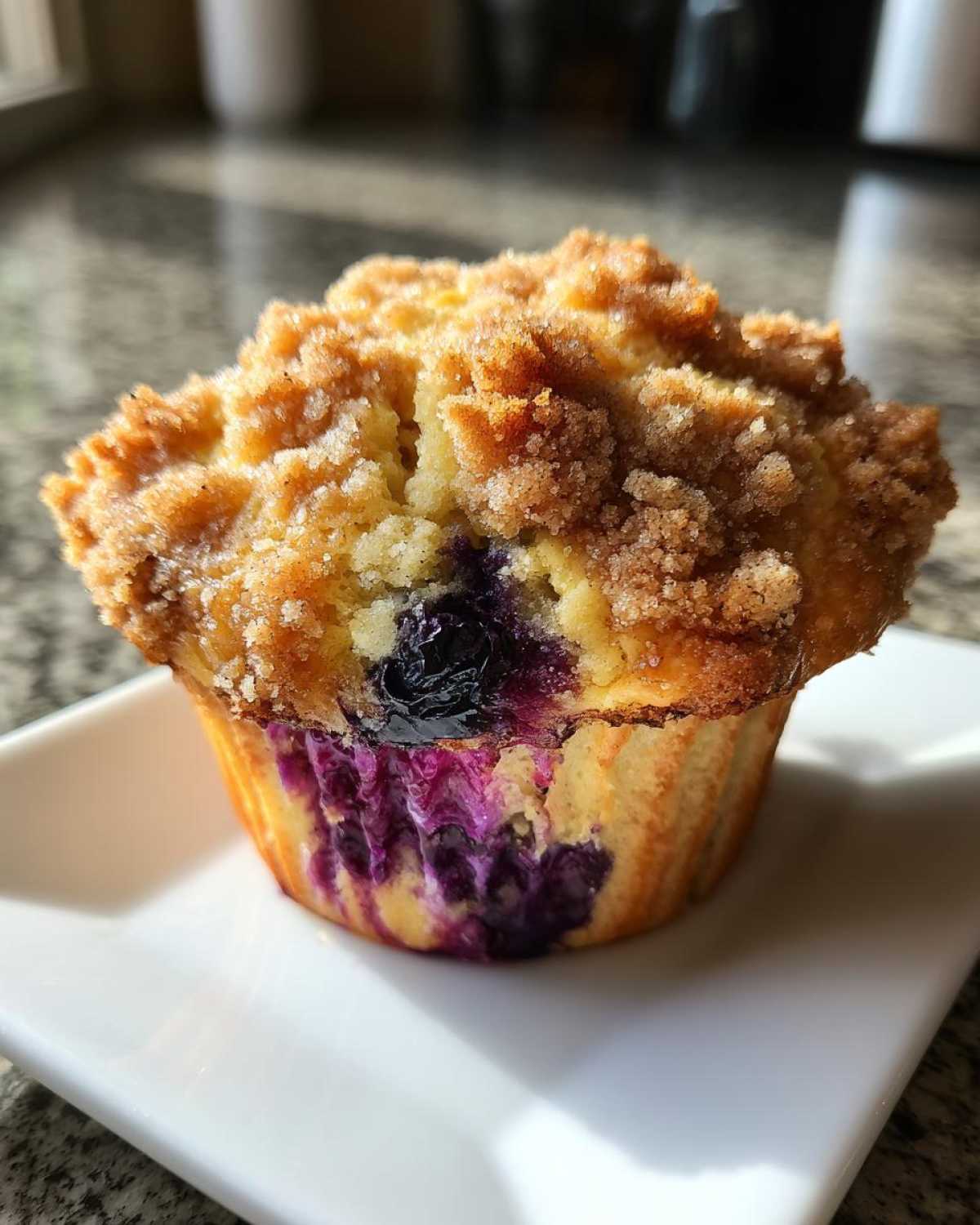 blueberry muffin - detail 3