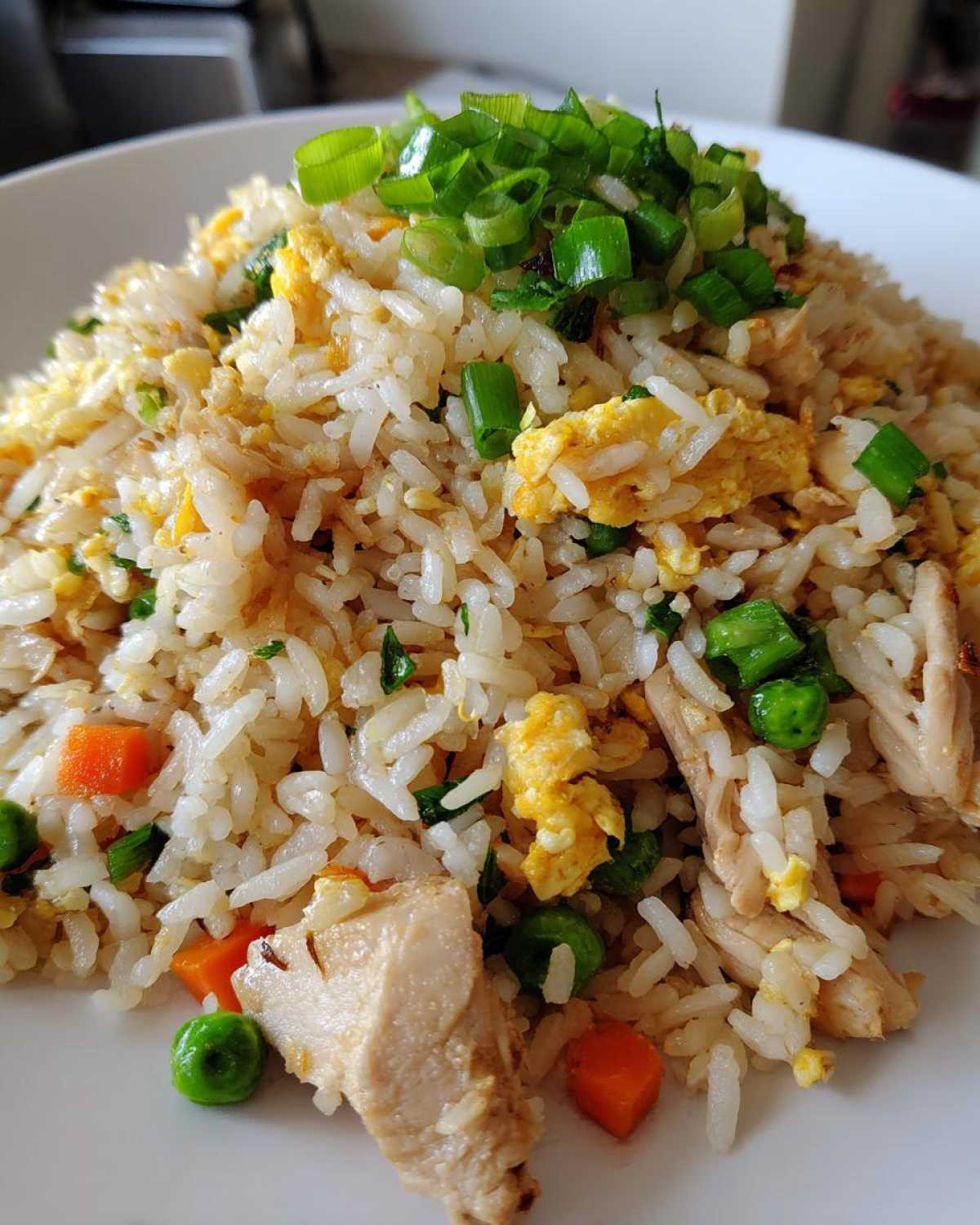 chicken fried rice - detail 2