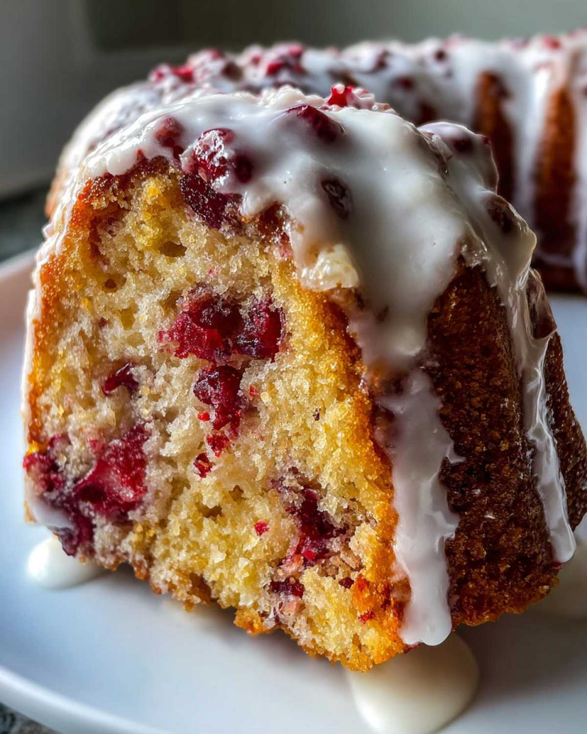cranberry orange cake - detail 3