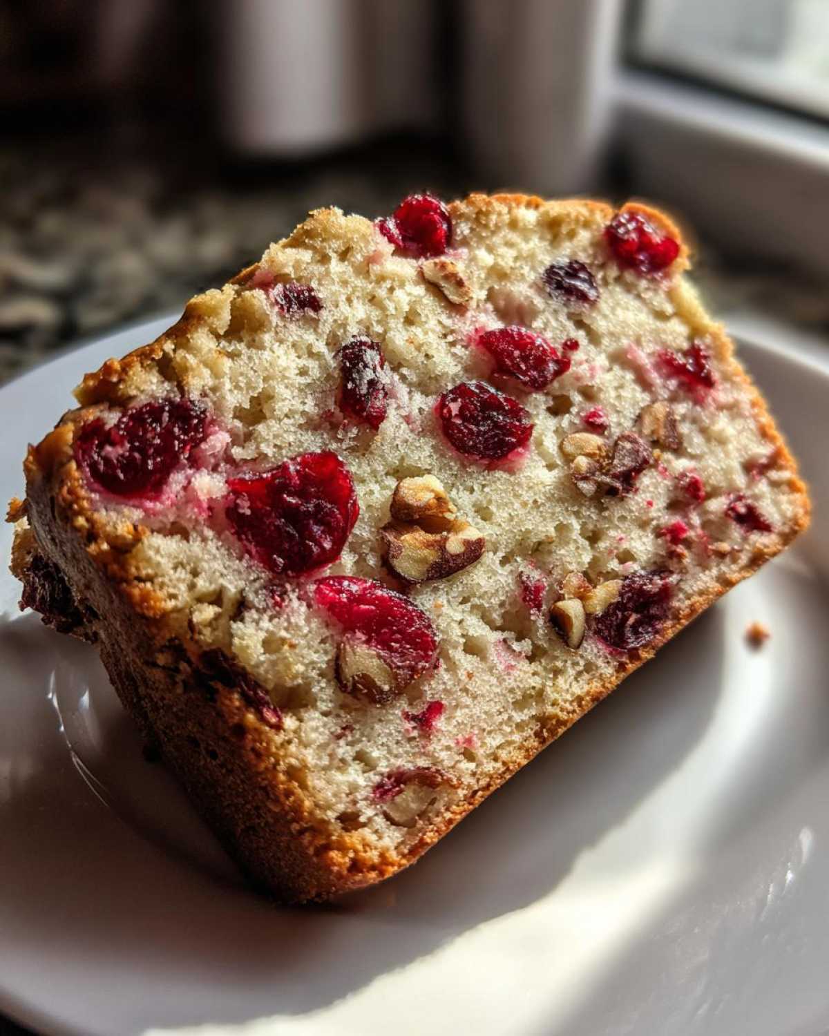 cranberry walnut bread - detail 3