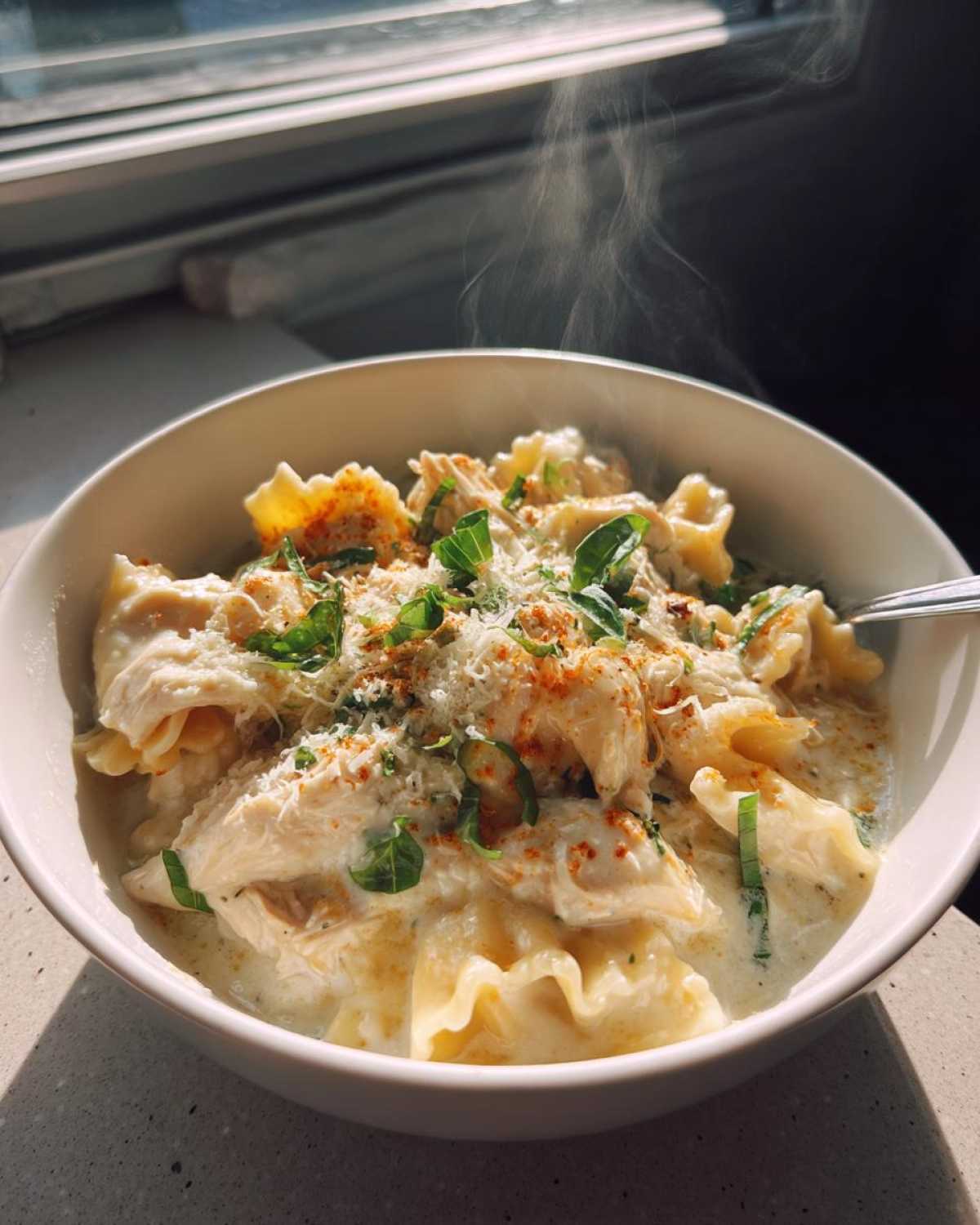 creamy white chicken lasagna soup - detail 3
