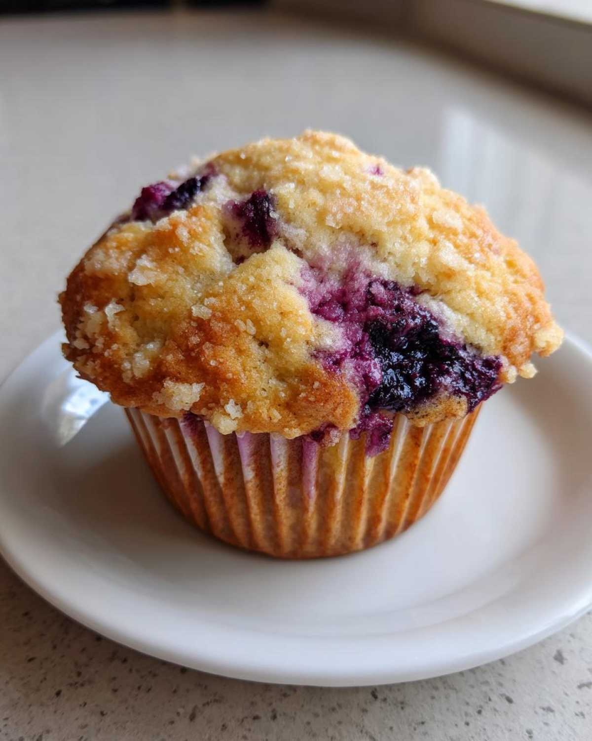A perfectly baked, moist blueberry muffin with a golden, sugary crumb topping sitting on a small white plate.
