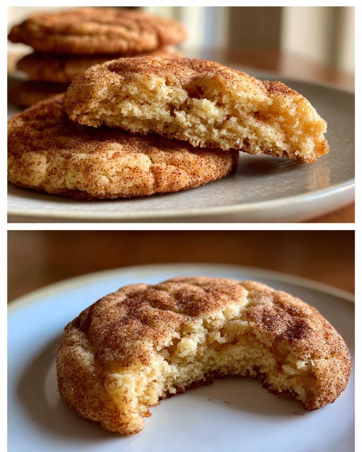 snickerdoodles - detail 2
