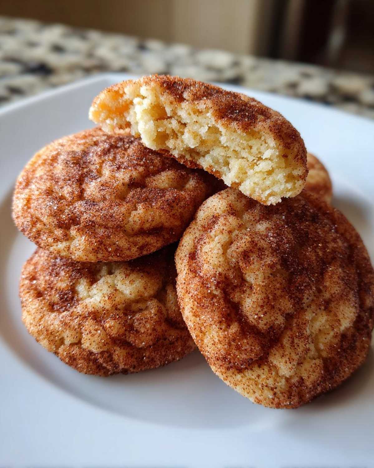 snickerdoodles - detail 4
