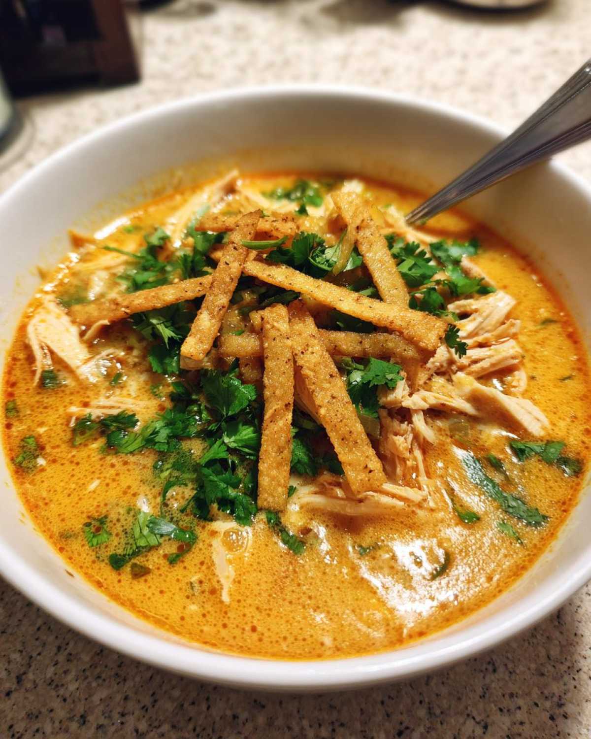 tortilla soup - detail 1