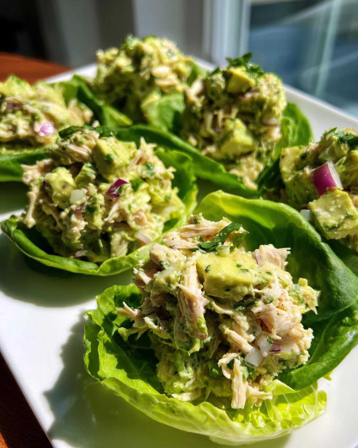 Close-up of fresh avocado chicken salad served in crisp butter lettuce cups on a white plate.