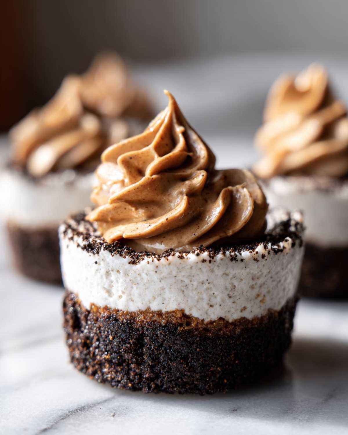 A single, decadent cookie butter cheesecake cup with a dark crust and piped cookie butter topping.