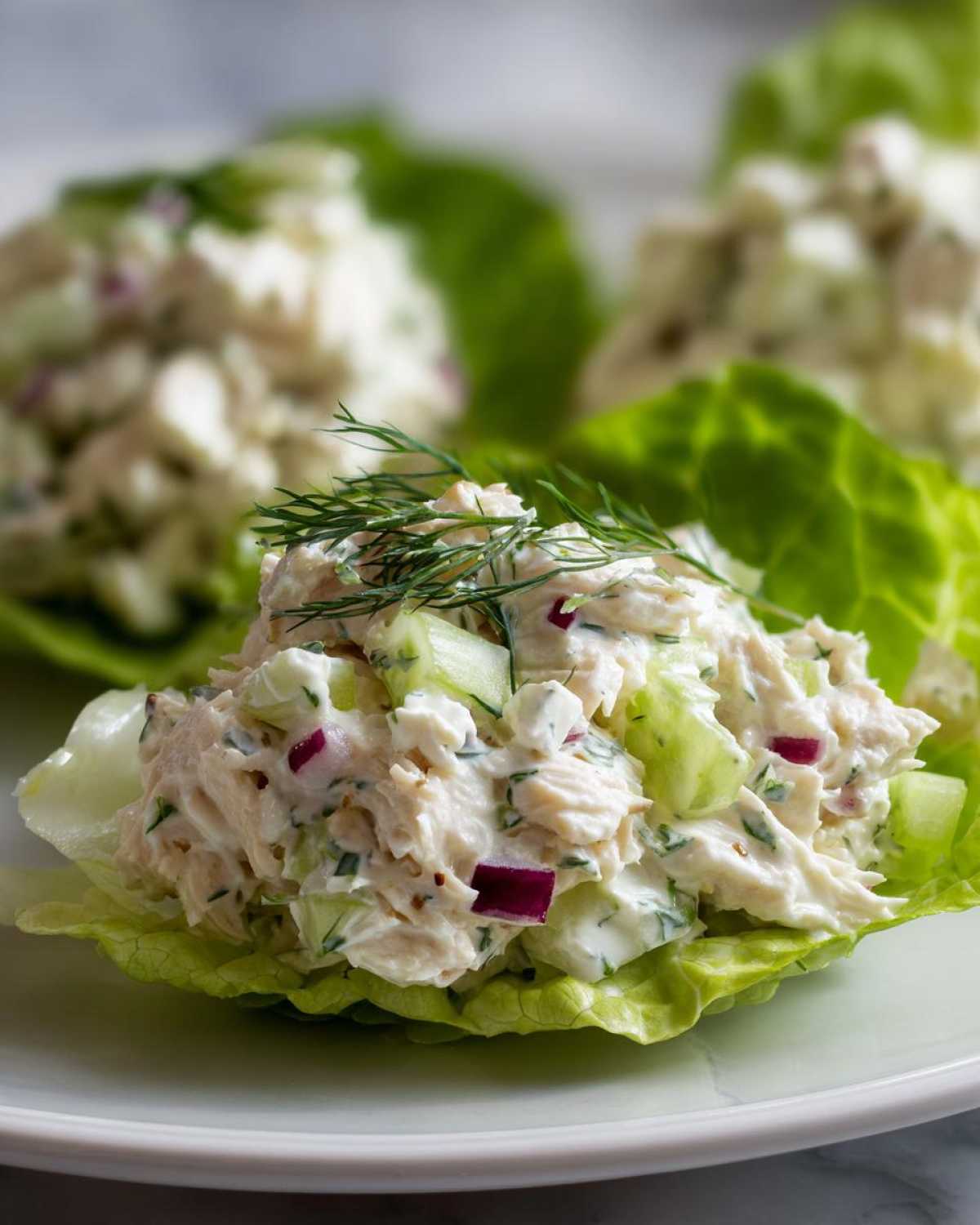 Close-up of cottage cheese chicken salad served in crisp lettuce cups, garnished with fresh dill.