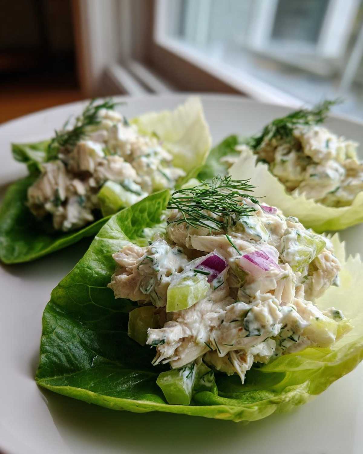Three servings of creamy cottage cheese chicken salad served in crisp lettuce cups and garnished with dill.