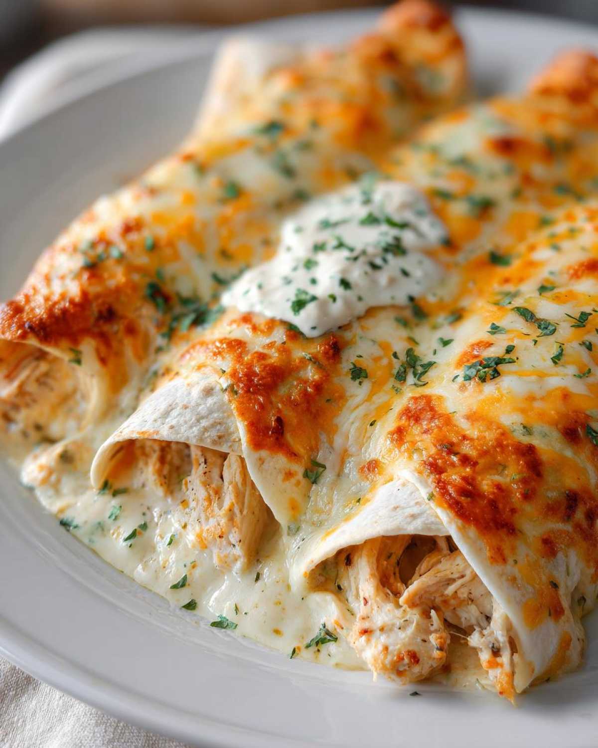 Close-up of creamy chicken enchiladas smothered in melted white and orange cheese and topped with sour cream and parsley.