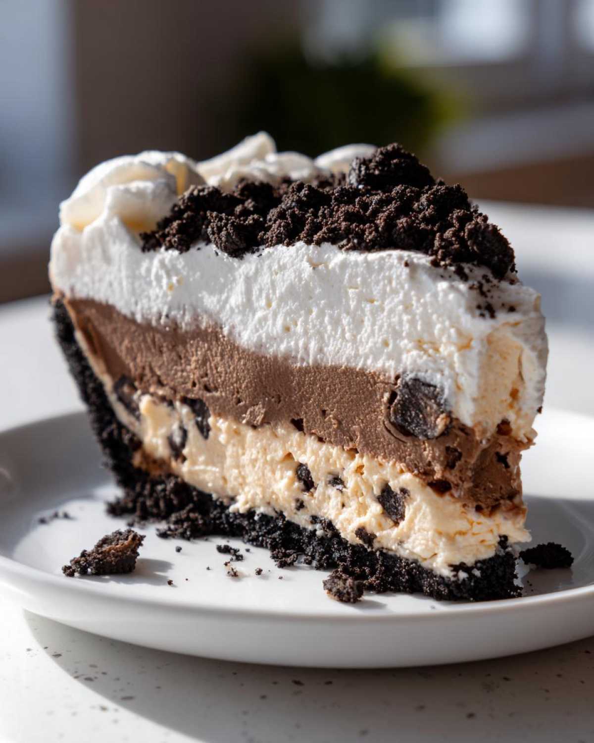 Close-up of a decadent slice of 2 layer ice cream pie featuring chocolate and vanilla layers, topped with whipped cream and cookie crumble.