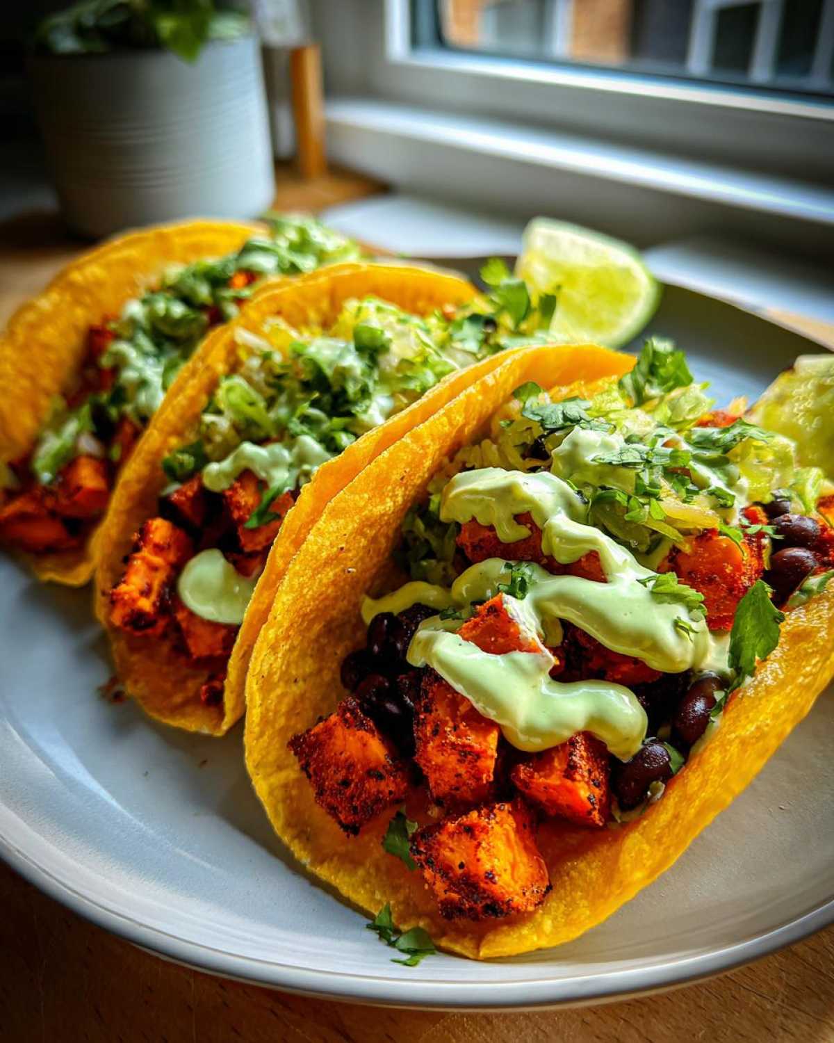Three Air Fryer Crispy Sweet Potato Tacos filled with seasoned sweet potato cubes, black beans, and topped with green sauce.
