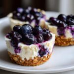 A close-up of a No-Bake Blueberry Cheesecake Oat Cup showing the oat crust, creamy filling, and blueberry topping.